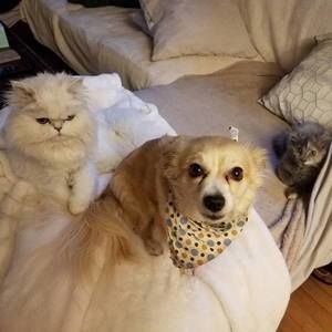 Meet your Posher, Heather